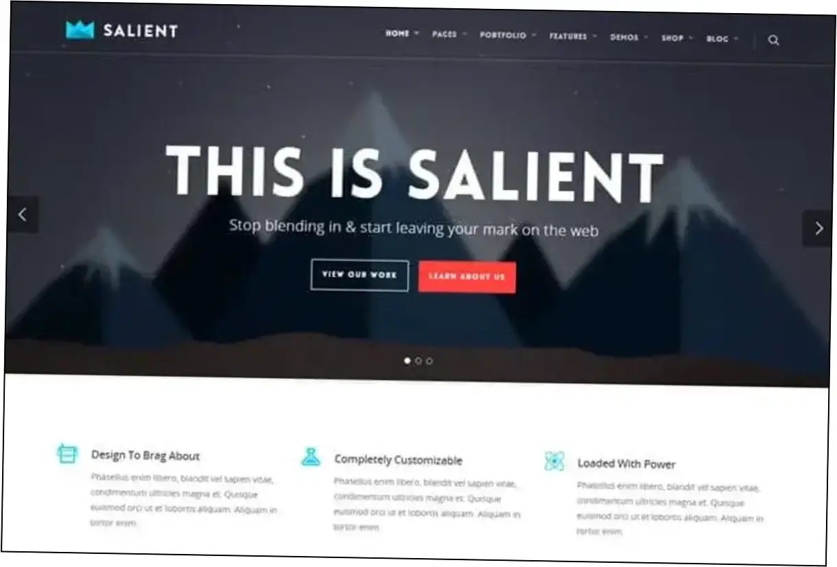 Salient Theme Nulled